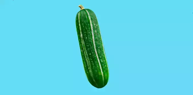 Hyperrealistic Cucumber 3D model
