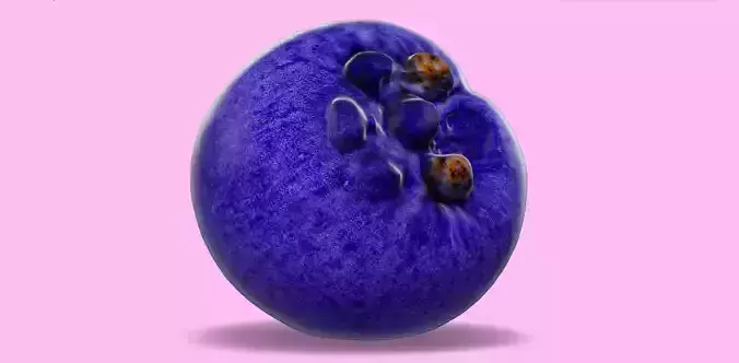 Hyperrealistic Blueberry