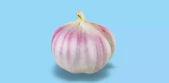 Hyperrealistic Garlic