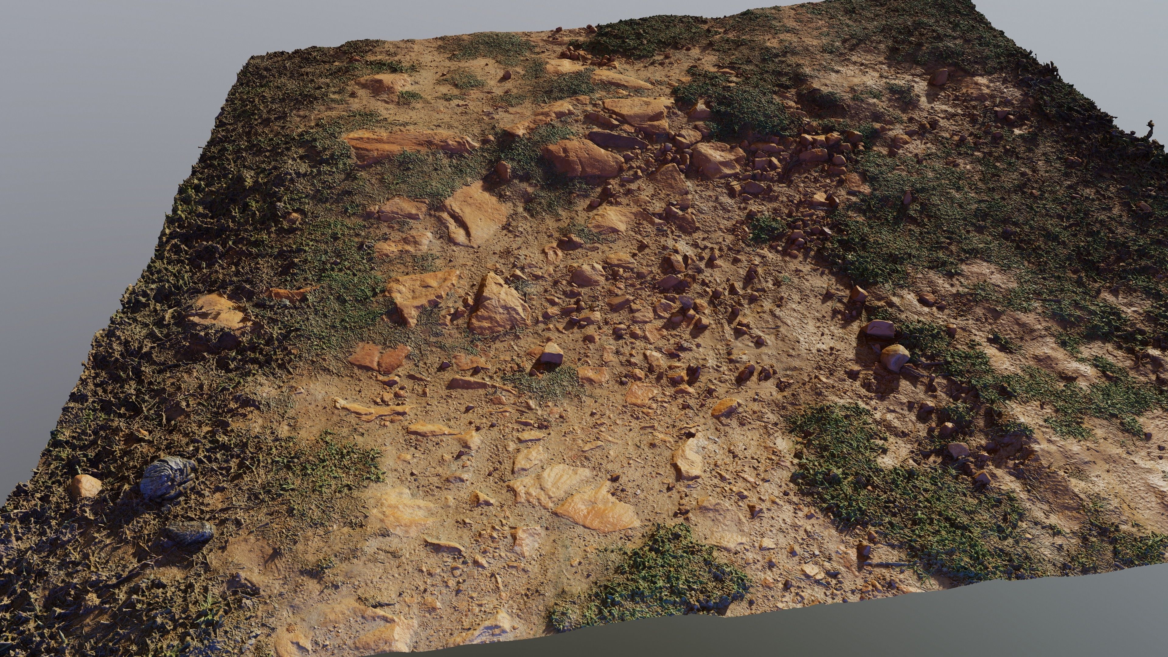Scangrassandstone01 3D model_1
