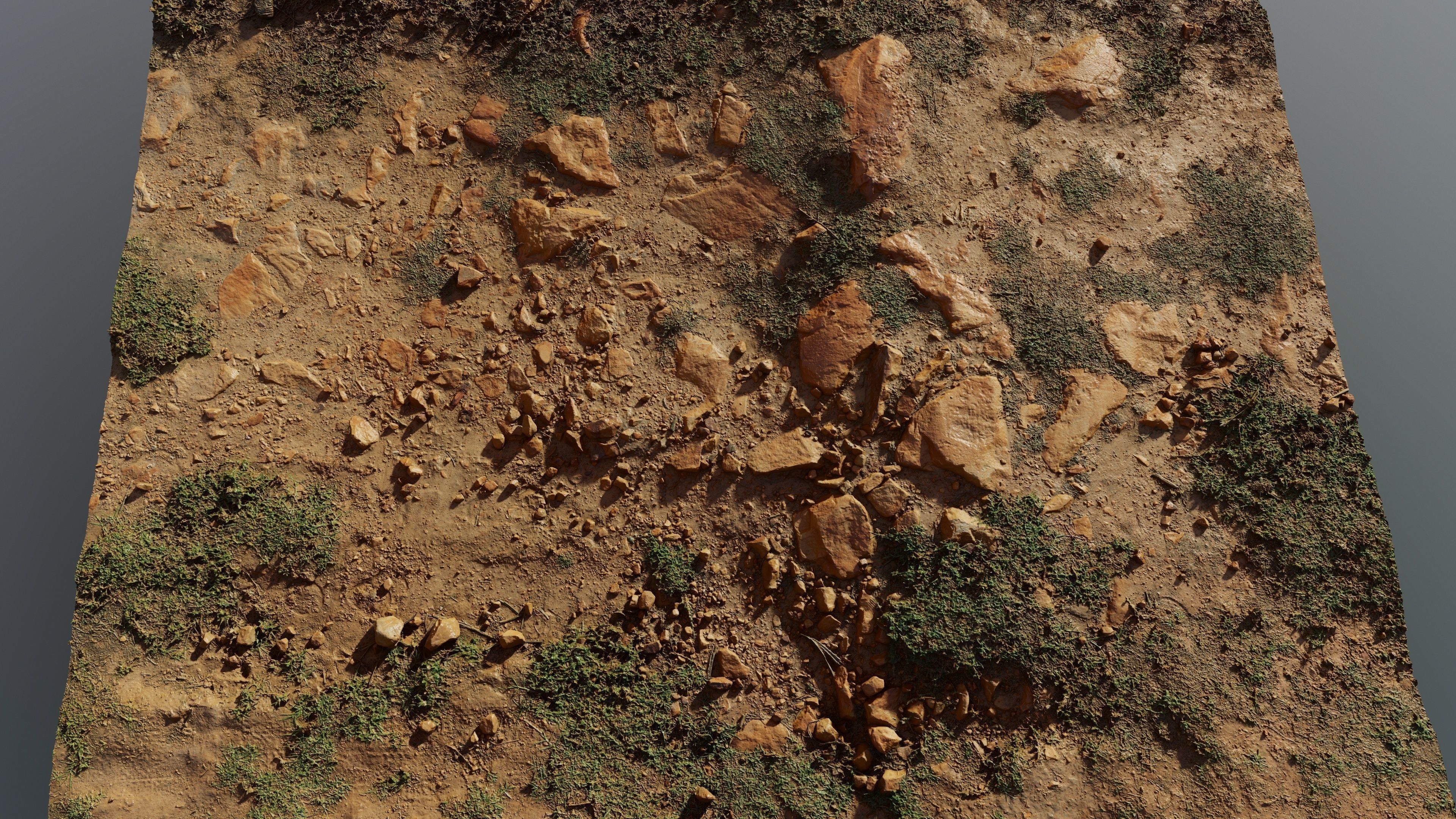 Scangrassandstone01 3D model_2