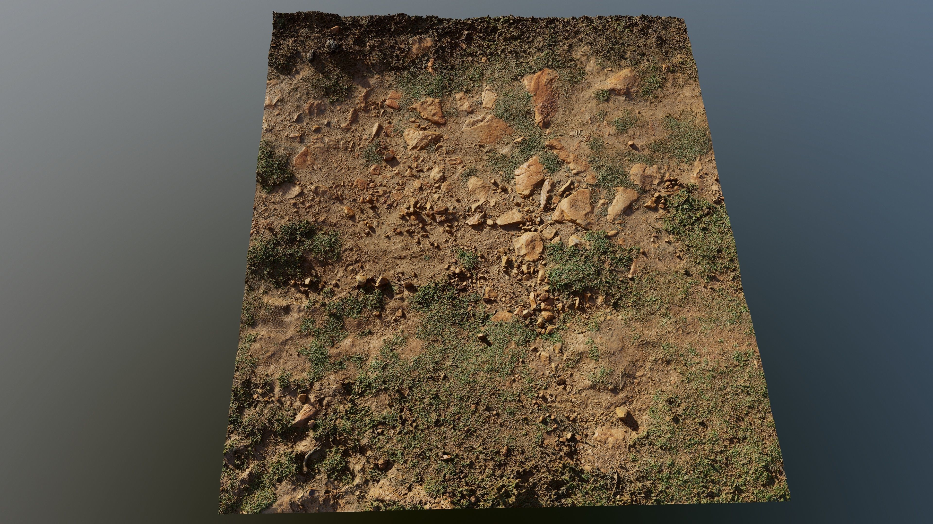 Scangrassandstone01 3D model_6