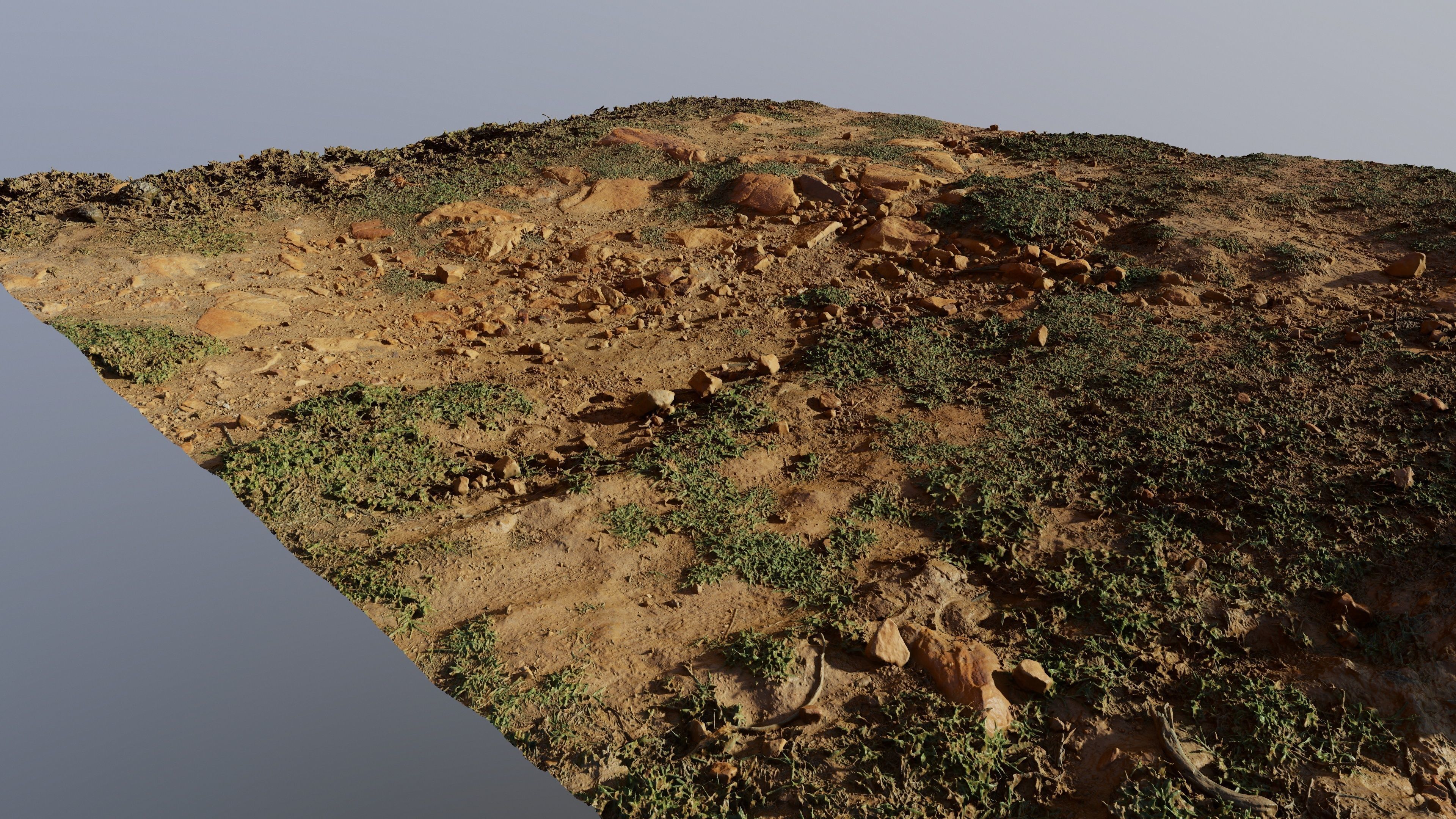Scangrassandstone01 3D model_4