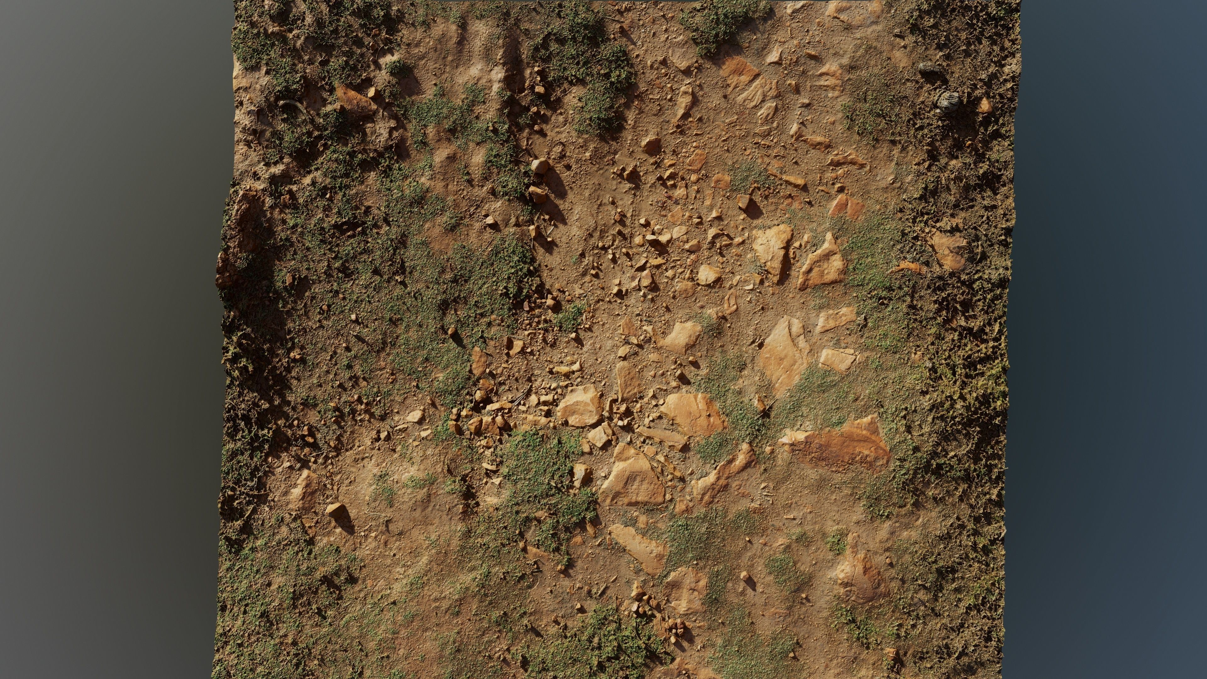 Scangrassandstone01 3D model_3