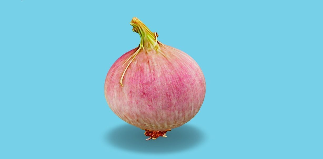 Hyperrealistic Onion 3D model_1