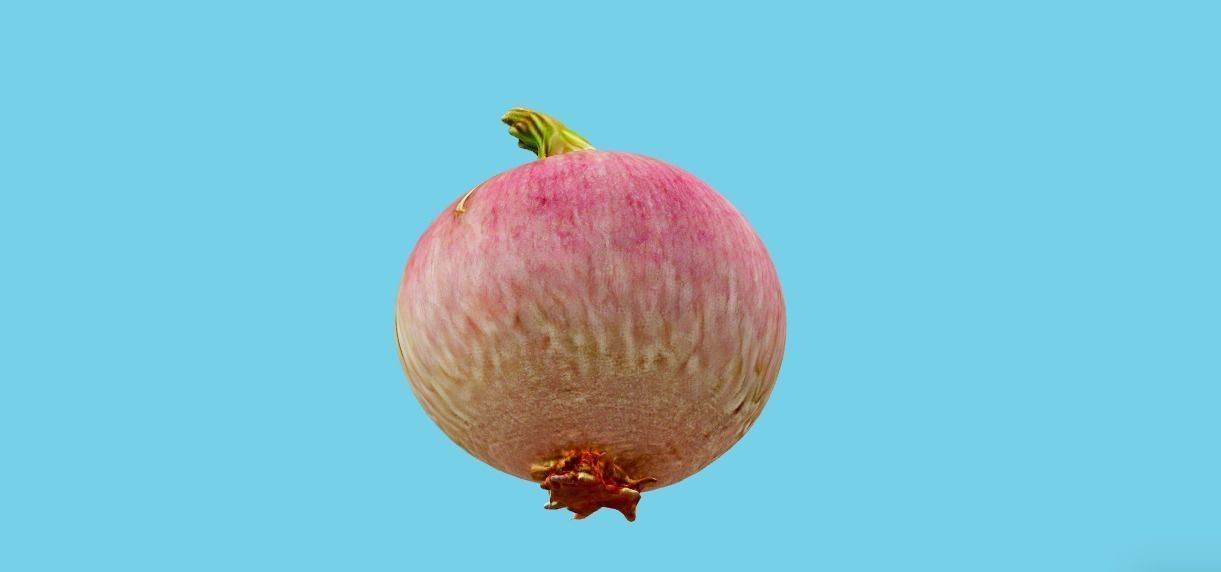 Hyperrealistic Onion 3D model_3