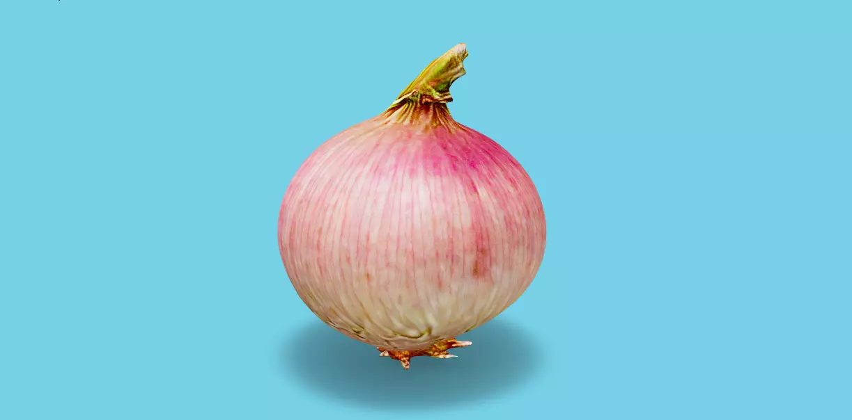 Hyperrealistic Onion 3D model_0