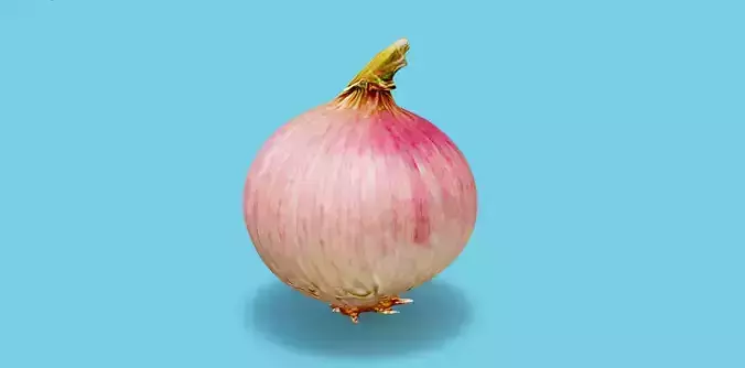 Hyperrealistic Onion