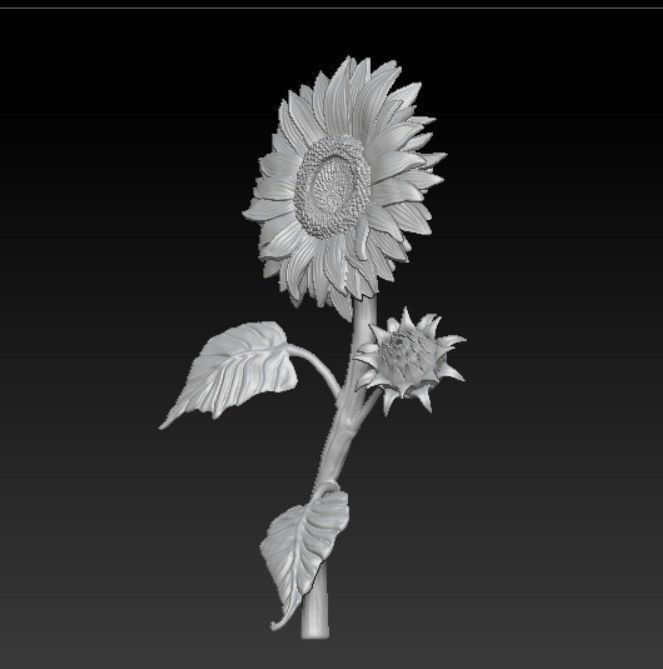 Sunflower - Ready for 3D Print 3D print model_6