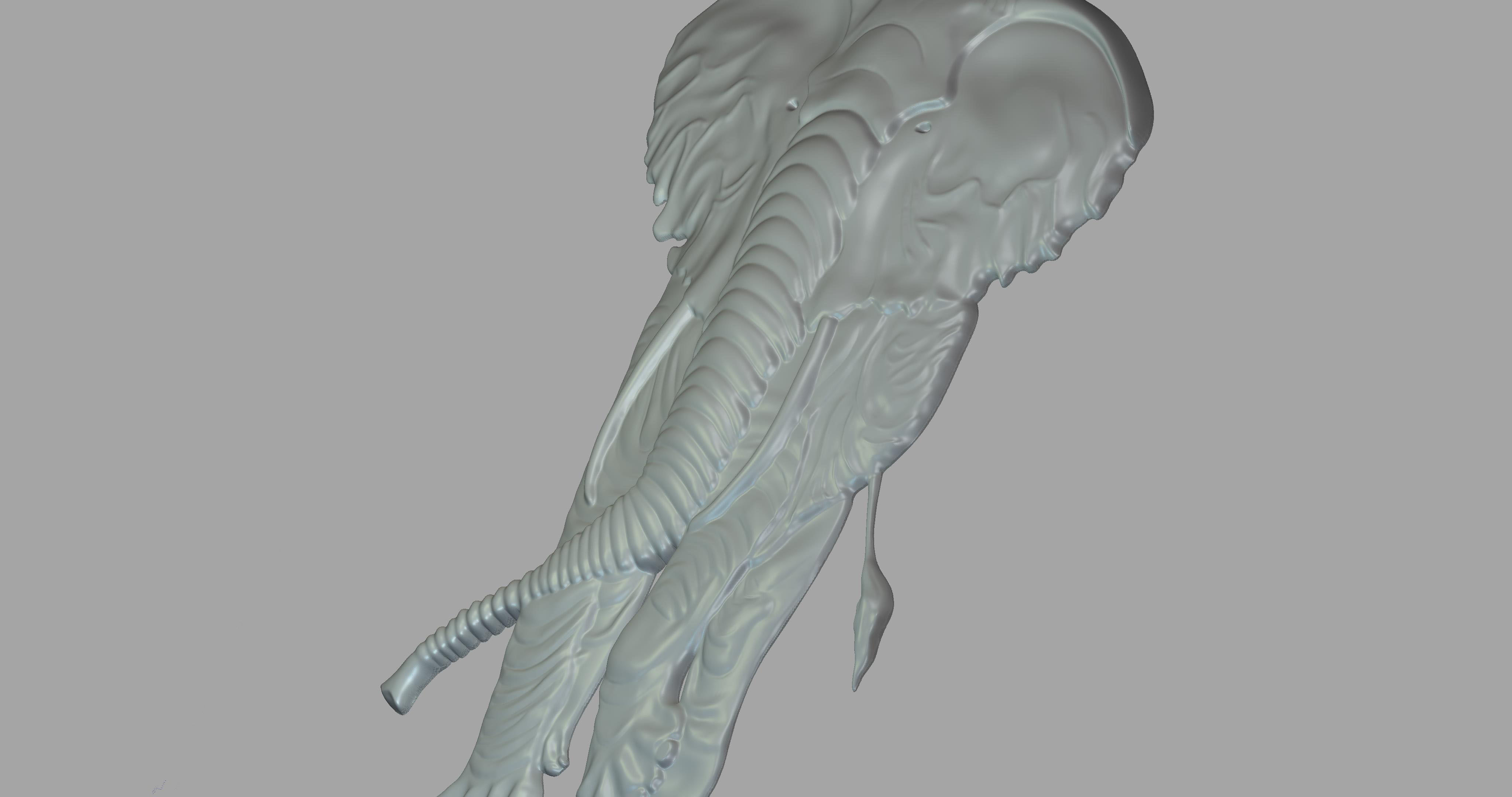 Elephant 3D print model_1