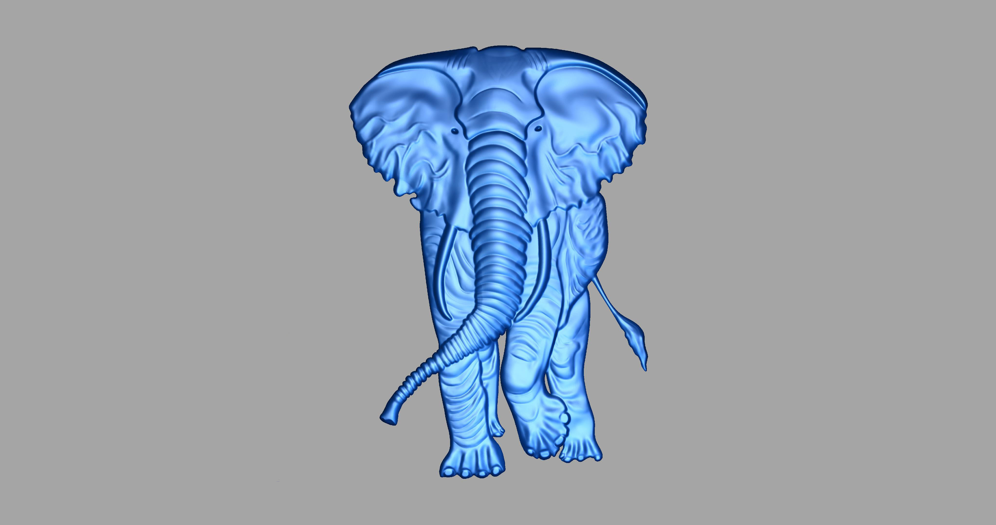 Elephant 3D print model_3