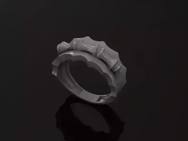 bone ring  3D print model
