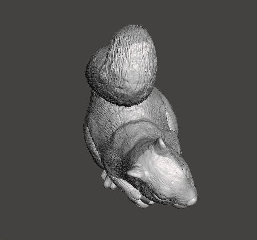 SQUIRREL CUTE REALISTIC FIGURE MODEL ANIMAL CREATURE WILDLIFE 3D print model_4