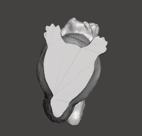 SQUIRREL CUTE REALISTIC FIGURE MODEL ANIMAL CREATURE WILDLIFE 3D print model_6