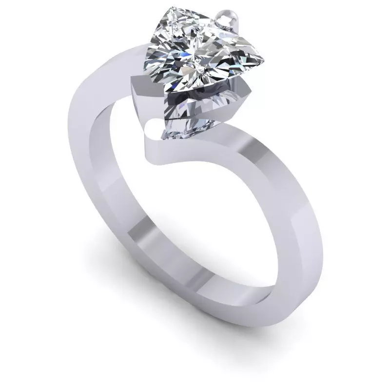 CAD-1862-Ring 3D print model