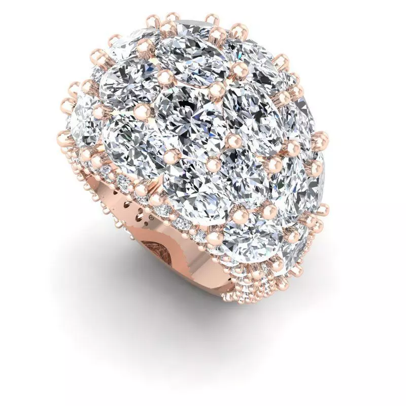 CAD-1860-Ring 3D print model