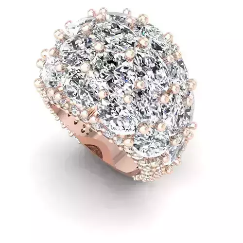 CAD-1860-Ring 3D print model