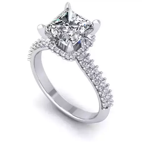 CAD-1856-Ring 3D print model