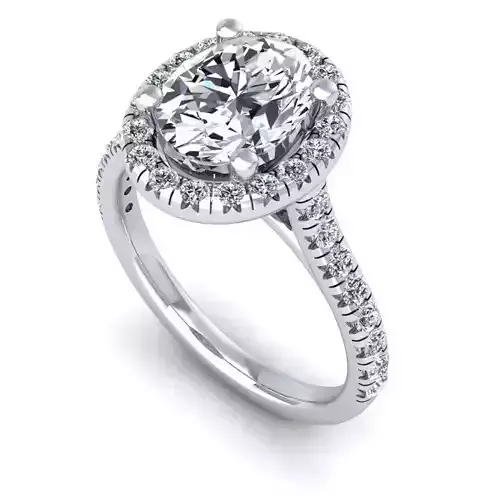 CAD-1919-Ring 3D print model