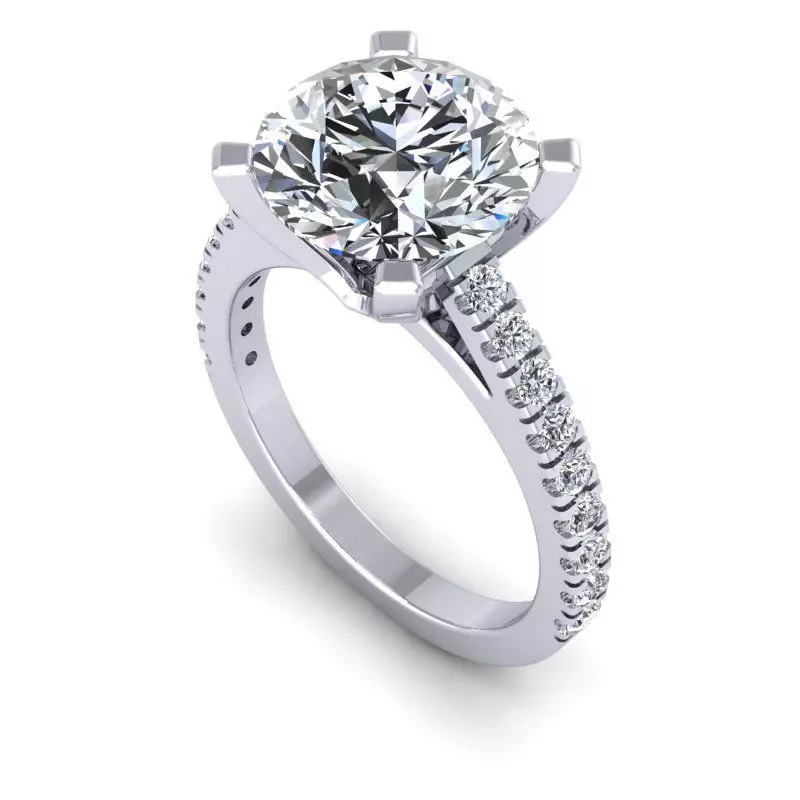 CAD-1915-Ring 3D print model