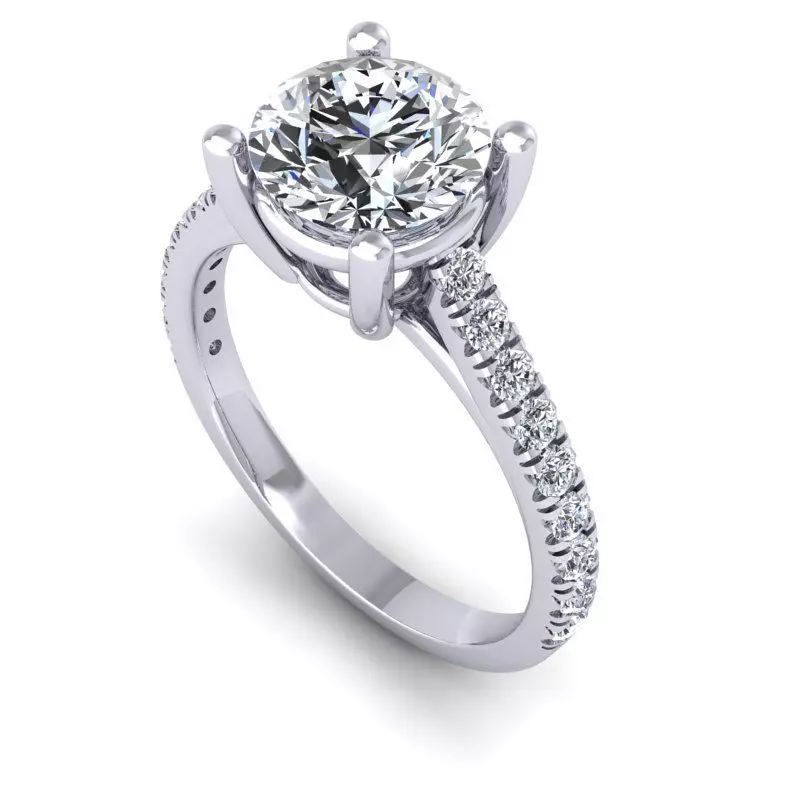 CAD-1910-Ring 3D print model