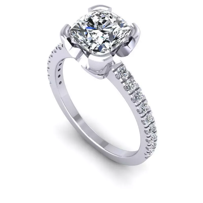 CAD-1909-Ring 3D print model