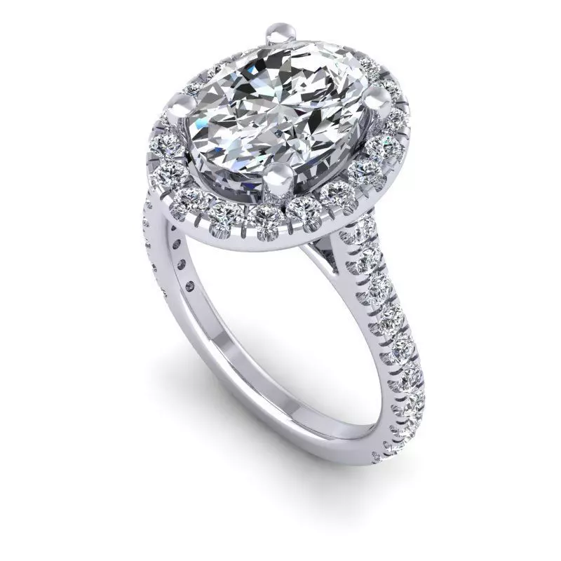 CAD-1907-Ring 3D print model