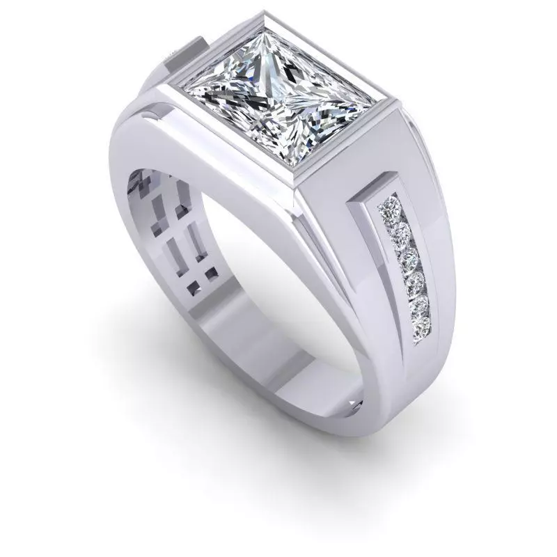 CAD-1905-Ring 3D print model