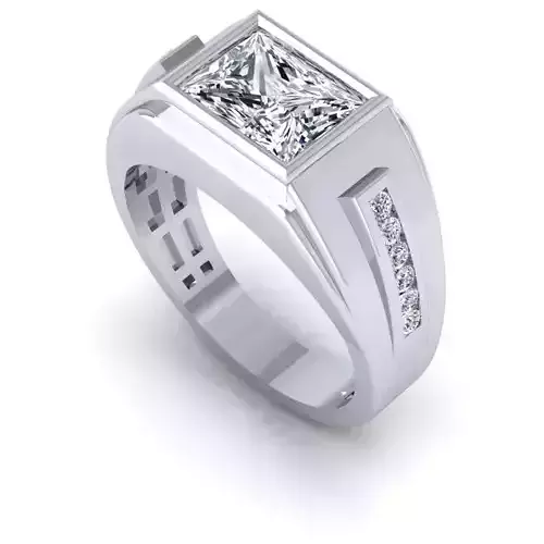 CAD-1905-Ring 3D print model