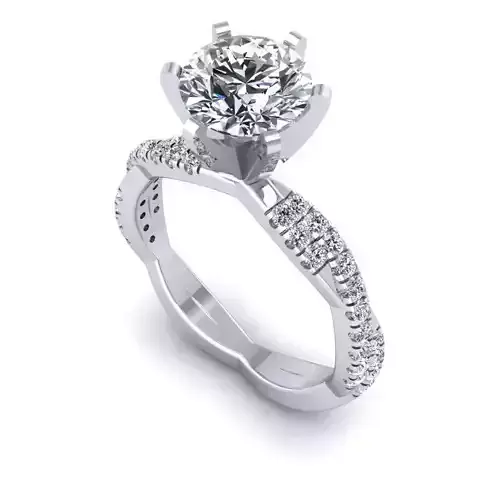 CAD-1898 A-Ring 3D print model