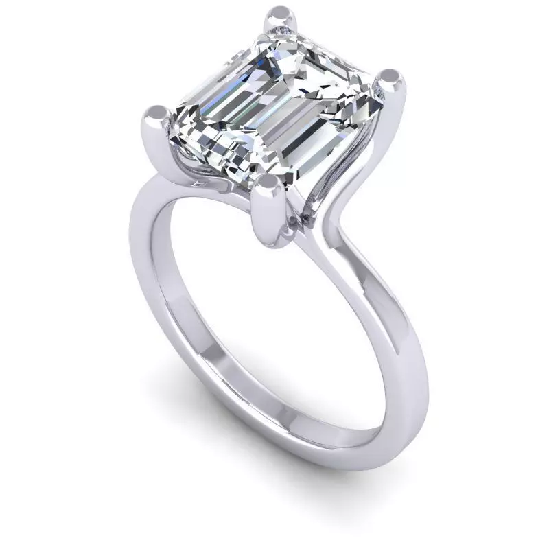 CAD-1892-Ring 3D print model