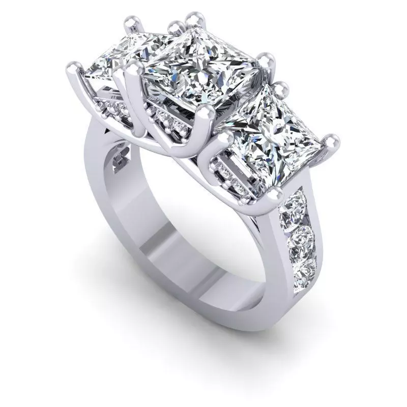 CAD-1883-Ring 3D print model