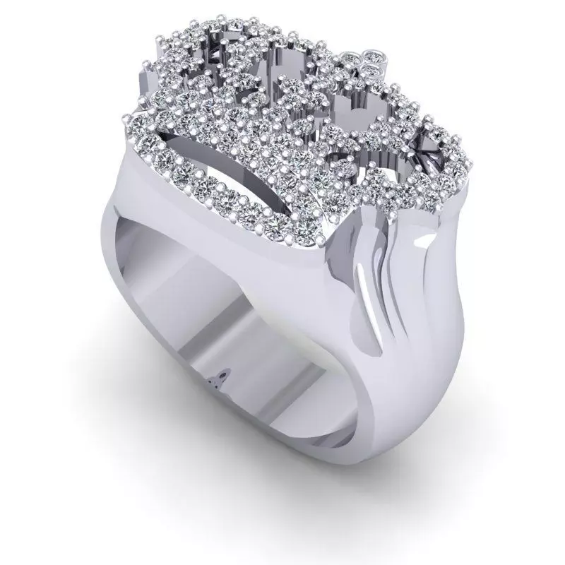 CAD-1876-Ring 3D print model