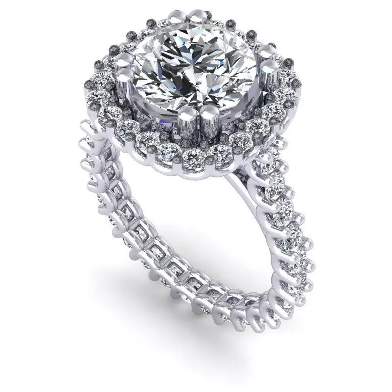 CAD-1875-Ring 3D print model