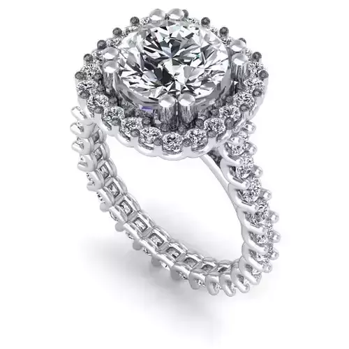 CAD-1875-Ring 3D print model