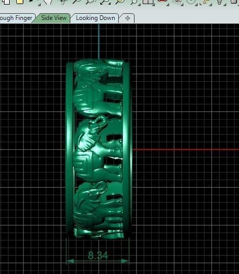 Elephant ring 3D print model_4