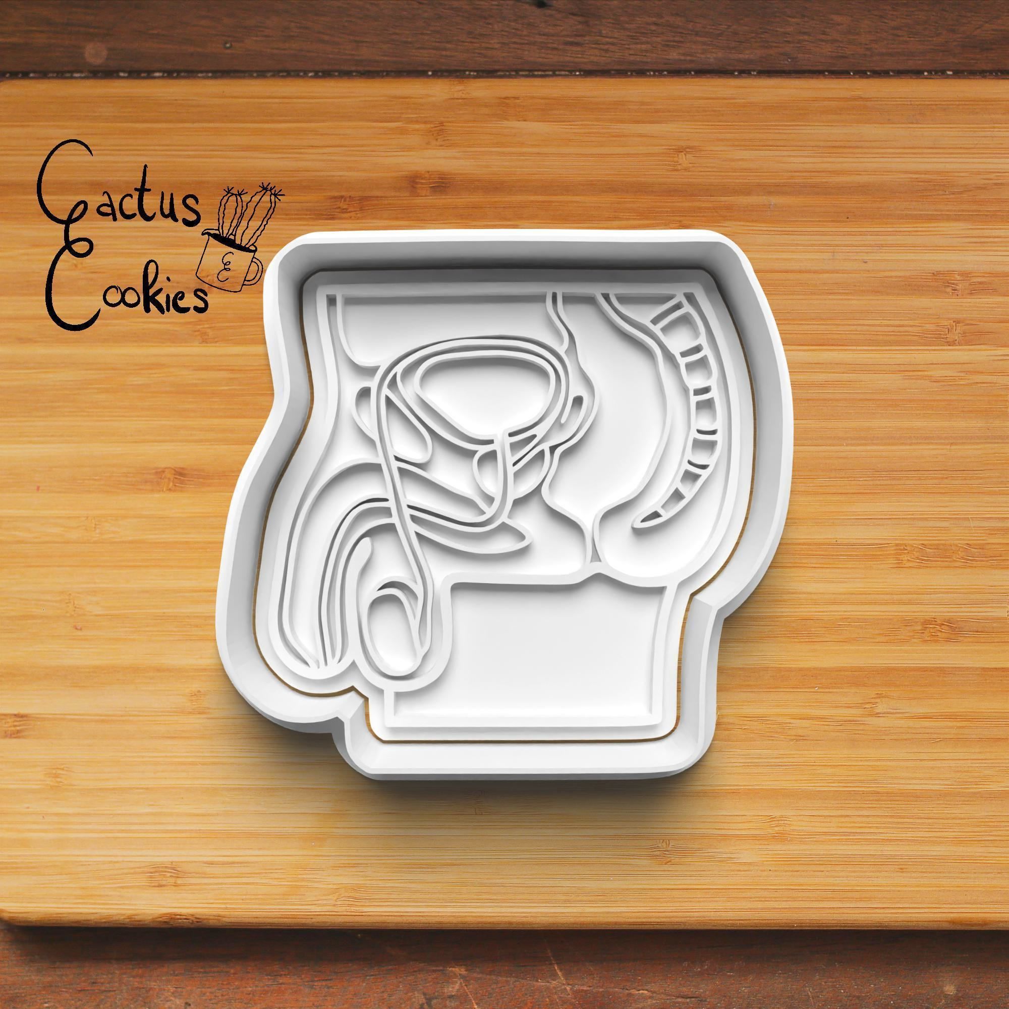 Sex Organs Cookie Cutter Stl File for 3d Printer 0019 3D print model_2