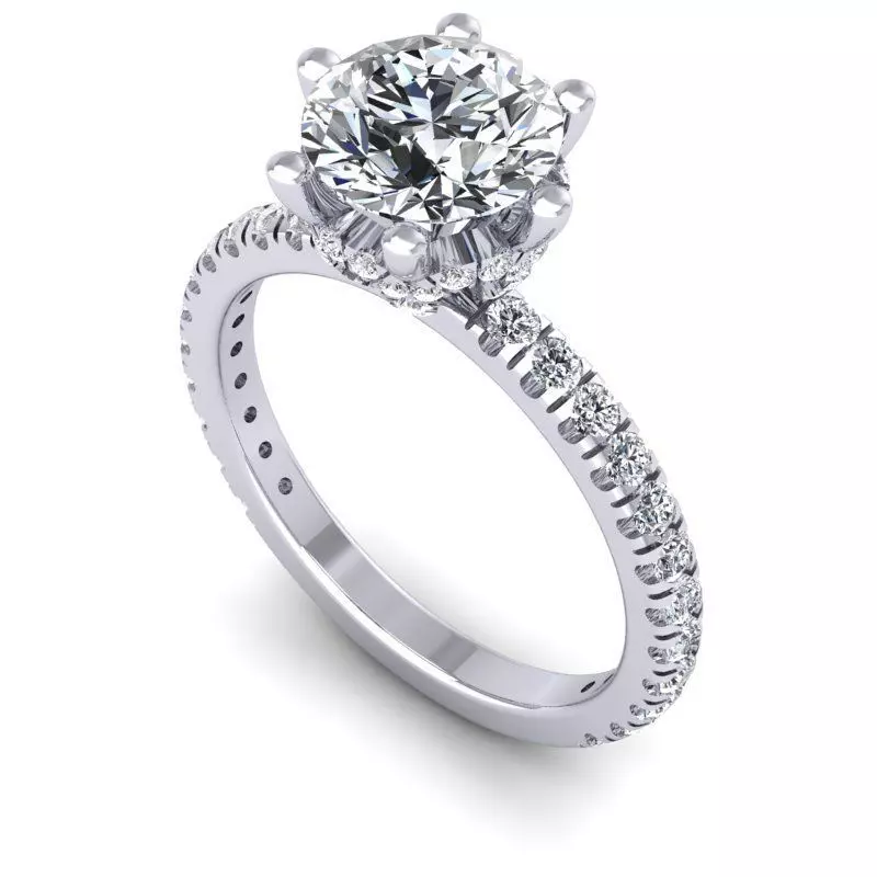 CAD-1970-Ring 3D print model