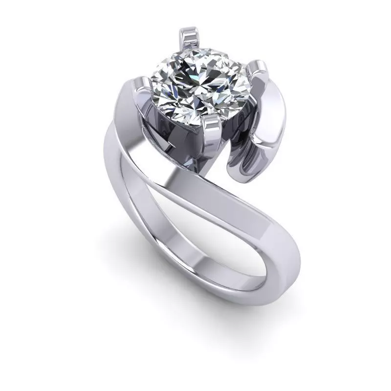 CAD-1956-Ring 3D print model
