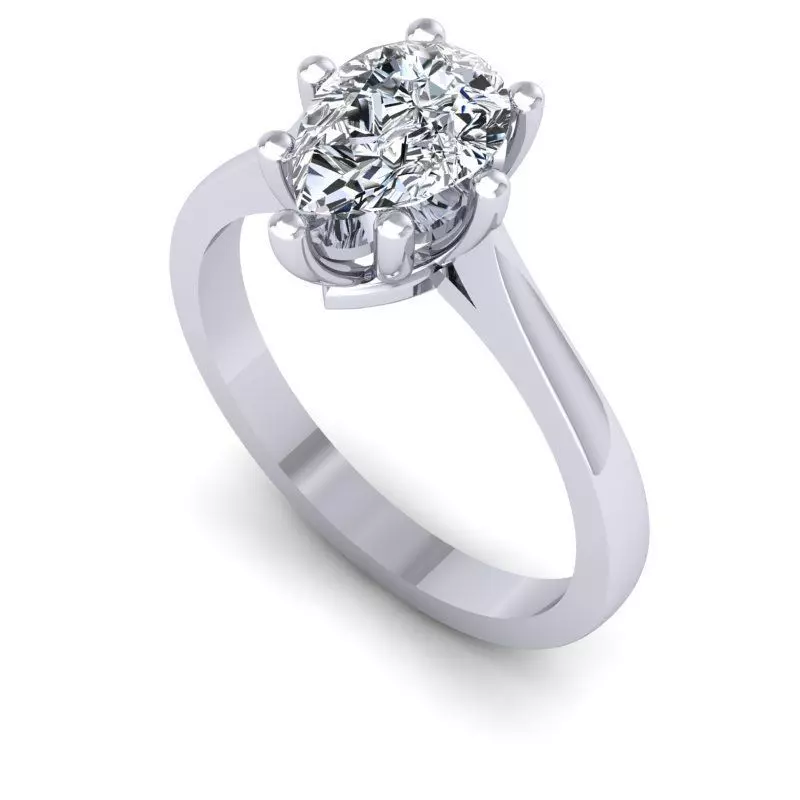 CAD-2091-Ring 3D print model_0