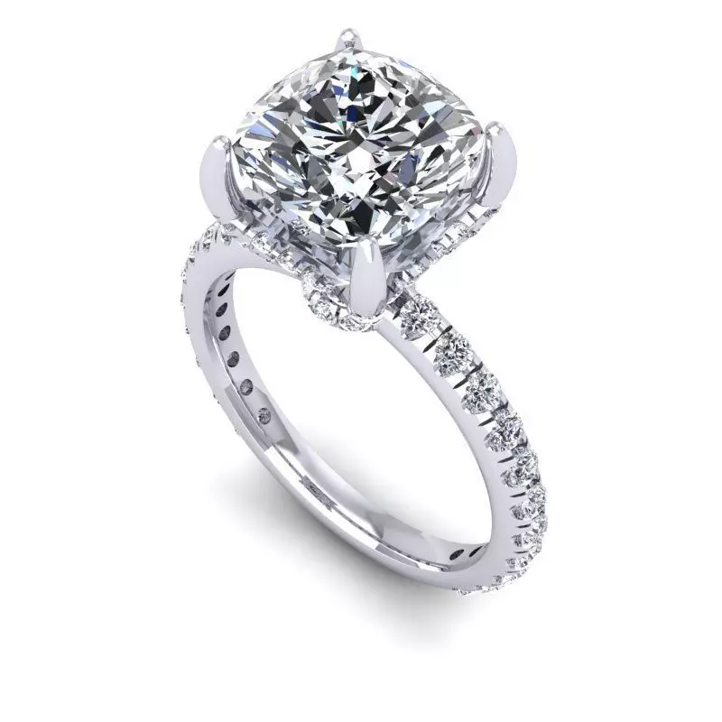 CAD-2135-Ring 3D print model