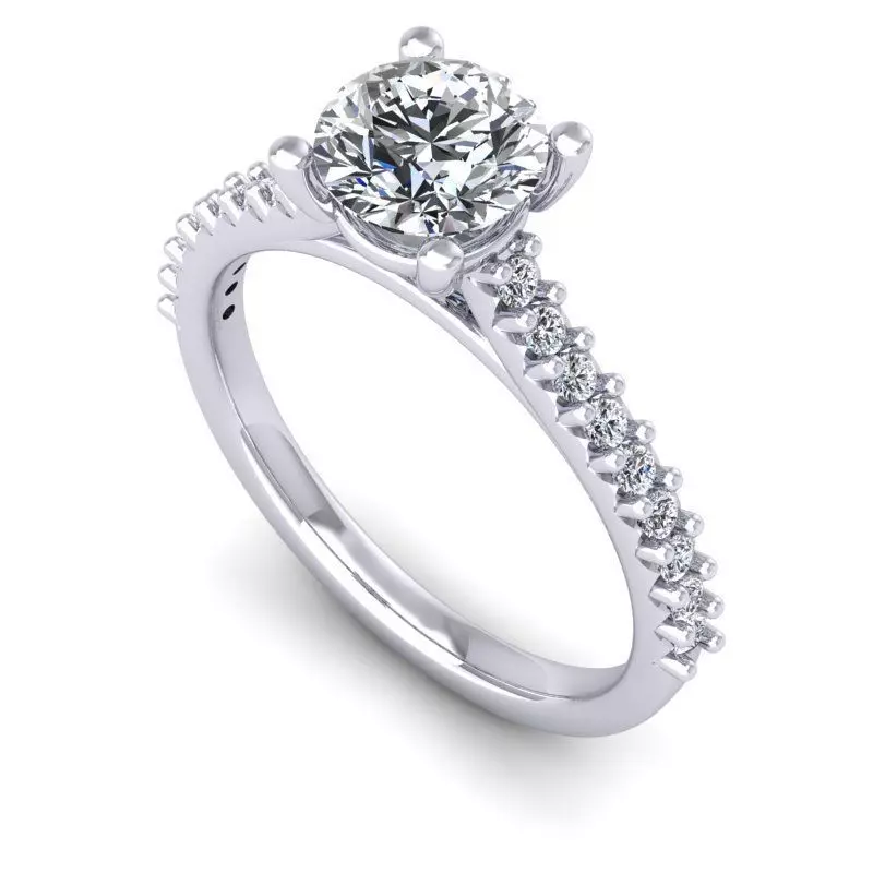 CAD-2118-Ring 3D print model