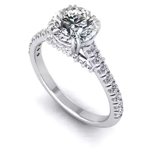 CAD-2108-Ring 3D print model