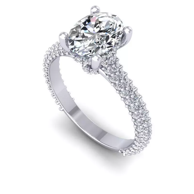 CAD-2098-Ring 3D print model