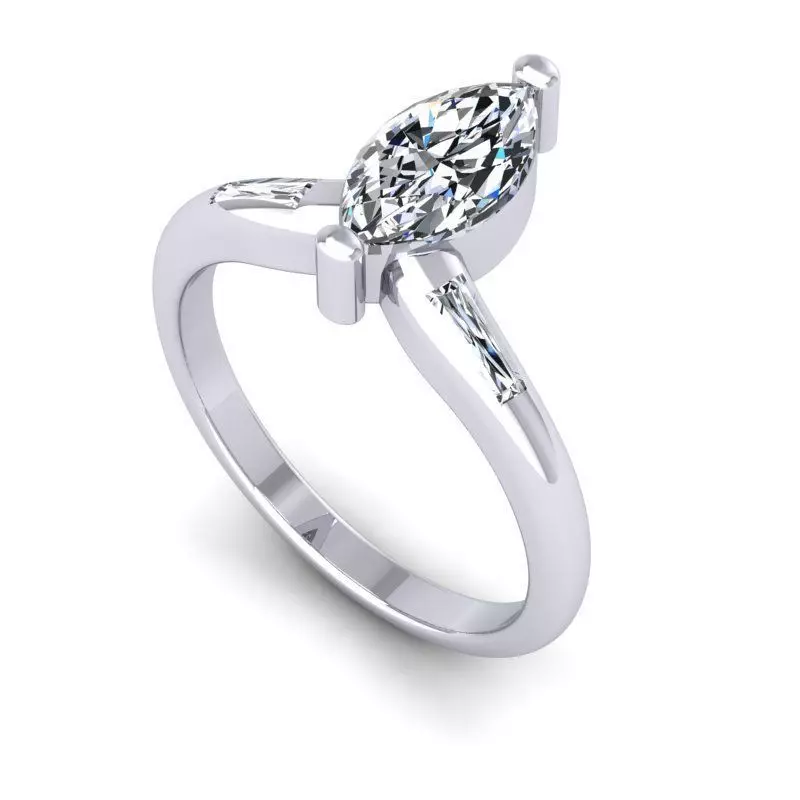 CAD-2176-Ring 3D print model