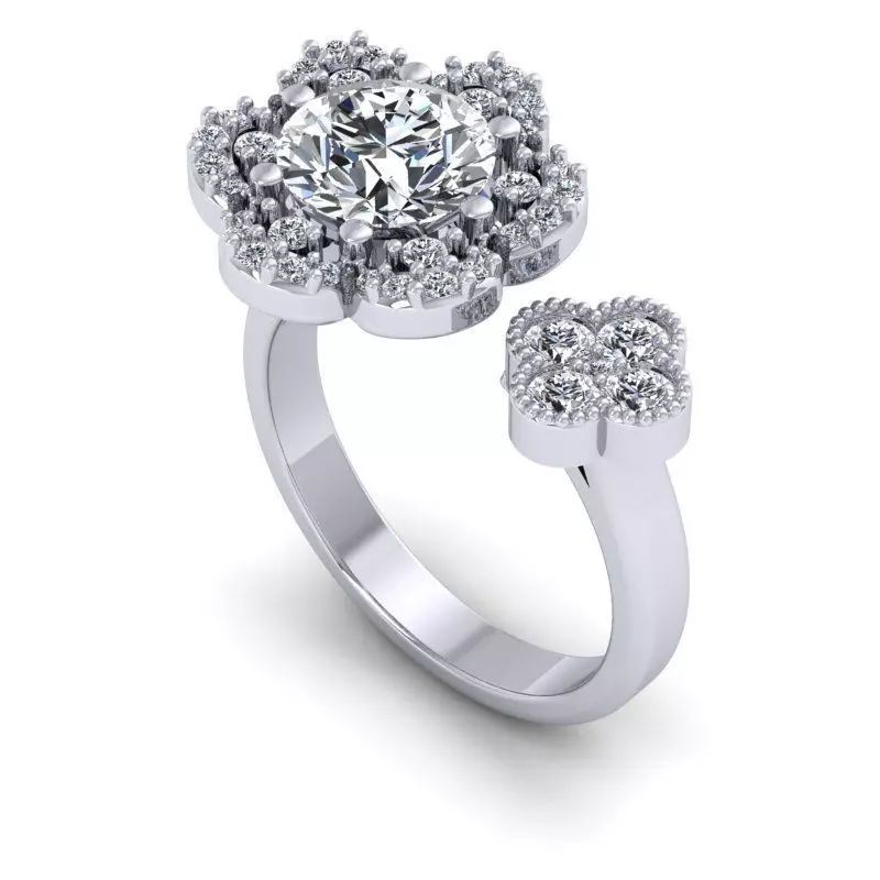 CAD-2162-Ring 3D print model