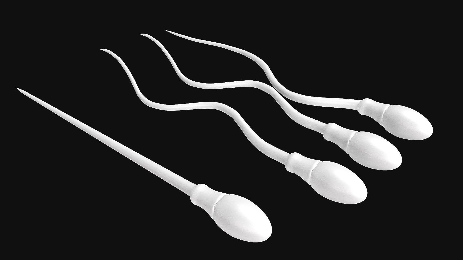 Sperm Cell  With  Egg   Low-poly 3D model_7