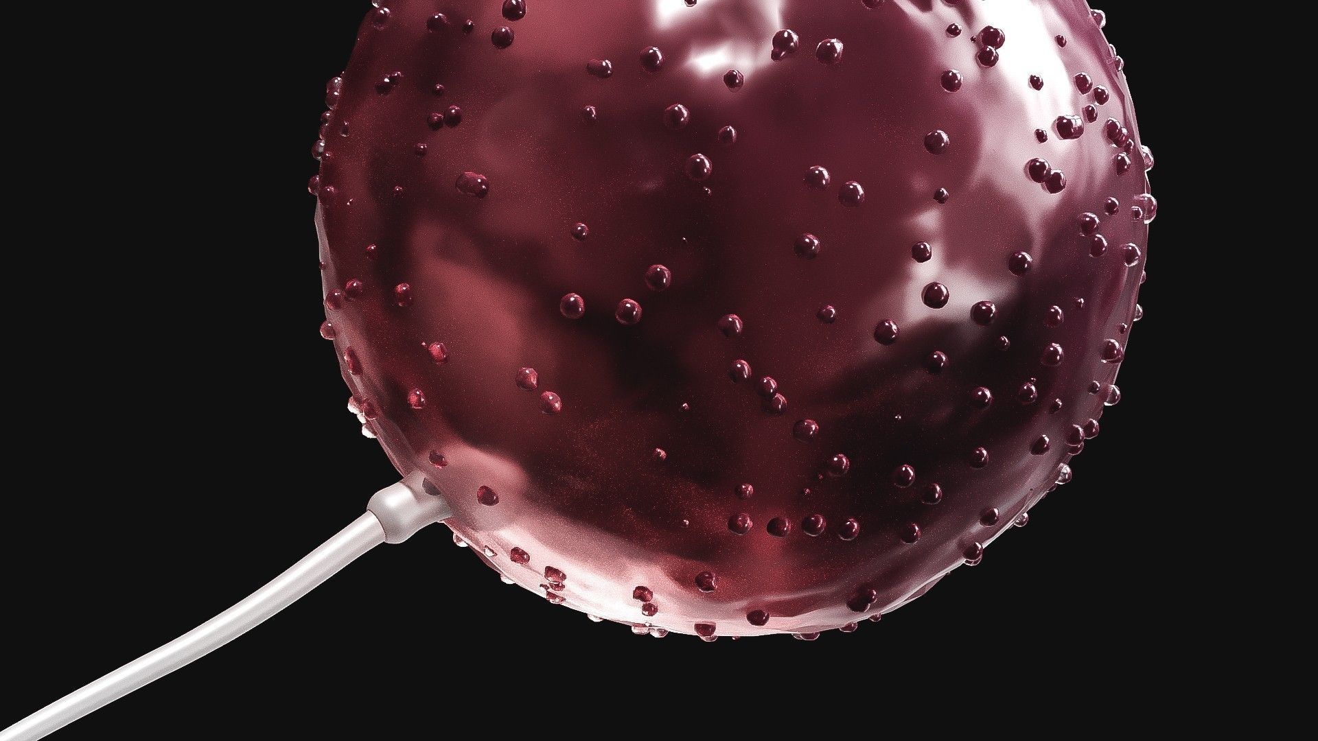 Sperm Cell  With  Egg   Low-poly 3D model_5