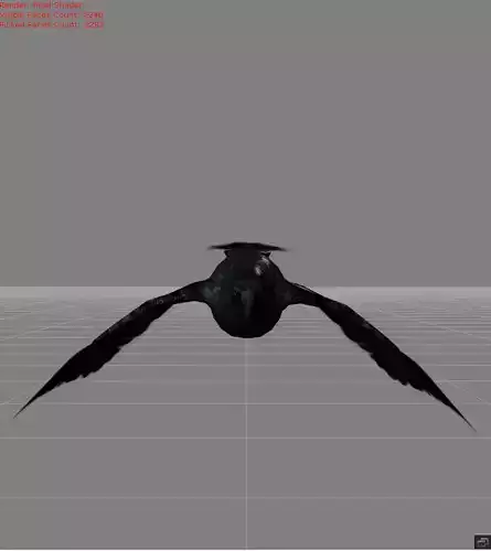 crow v1 animal