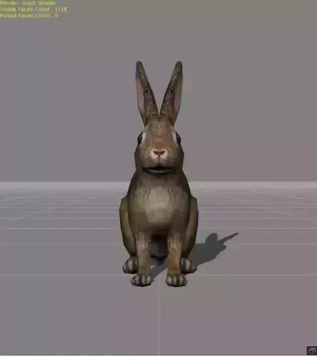 rabbit v1 animal